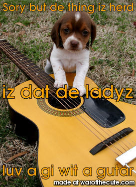 Guitar pup