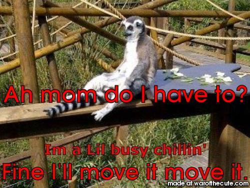 Movit Lemur