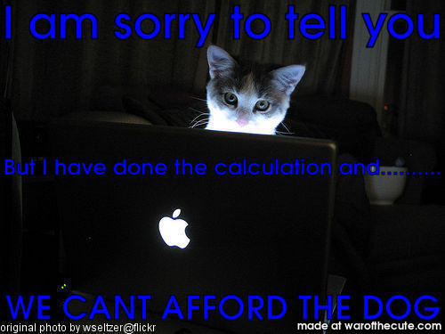 The reason your cat hacked into your bank account