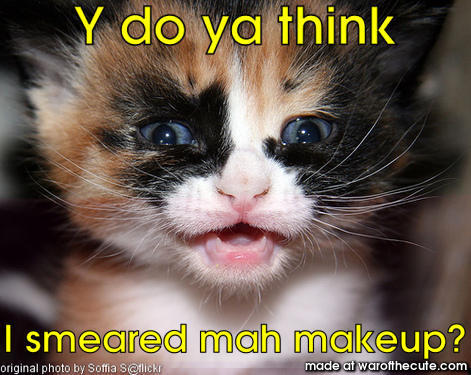 makeupcat