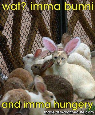 bunny burgers