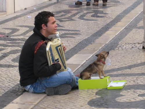 dude on the street with a lil dog
